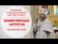 🔴Божественная Литургия.Прямая трансляция.Собор Вознесения Господня.