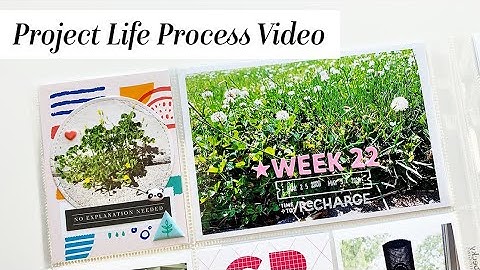 Project Life Process Video- Week 22 Part One