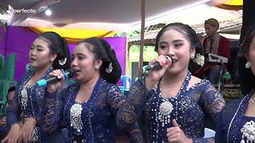 LANGGAM SINOM NYAMAT, MUNGGAH SI KUCING GAYENG...CAMPURSARI PURWO WILIS