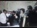 حياة الشركة