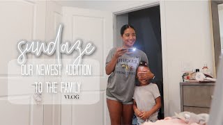 sundaze | bringing the new baby home vlog