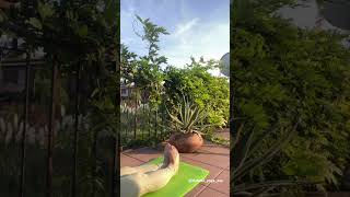 Упражнения для стоп, которые изменят вашу жизнь #психология #йога#телеснаятерапия