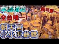 超可愛小虎爺轎班  北港朝天宮限定小老虎！｜本週精彩｜寶島神很大online