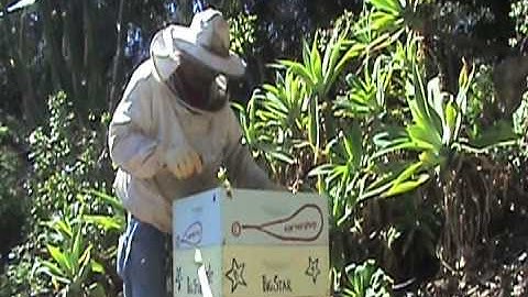 Backwards Beekeepers TV: Smoker and Hive Basics