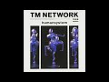 TM NETWORK / Telephone Line リアルカラオケ