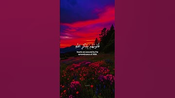الدين امنوا و تطمئن قلوبهم | القارئ اسلام صبحي