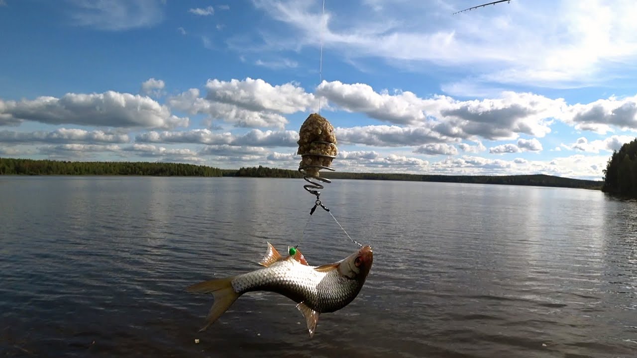 верхний тагил экшн. рыбаки на тагильском пруду. рыбалка в тагиле. рыбаки на тагильском пруду. рыбалка в нижнем тагиле и его.