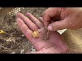 24H Beach Cleanup Challenge: Finding Hidden Treasure in a Giant Rock Beach!