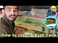 How to clean a Home Fish Tank | Oscar Vs Parrot Fish fighting 😟 | Vlog