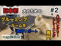【徹底リポート②】日本初！ハズバンダリートレーニング専門犬のためのグルーミングルームnap静岡店