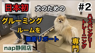 【徹底リポート②】日本初！ハズバンダリートレーニング専門犬のためのグルーミングルームnap静岡店