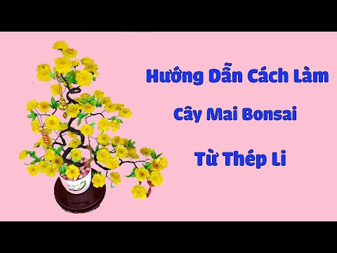 Video Hướng Dẫn Cách Uốn Cây Mai Bonsai Từ Dây Thép Li |... - youtube