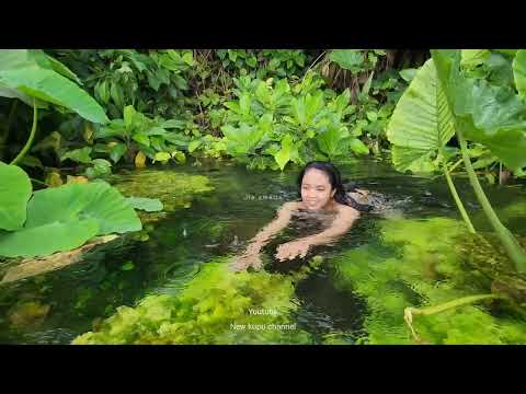 Berenang dan petik sayuran di sungai jernih pinggiran hutan