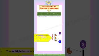 Explanation for the Existence of Isoenzymes | Isoenzymes | Enzyme Regulation #shorts