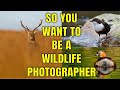 So You Want To Be A Wildlife Photographer