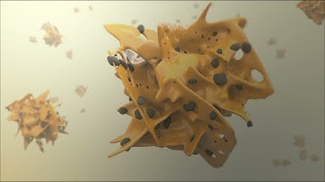 Introduction to g-C3N4/TiO2 photocatalysis