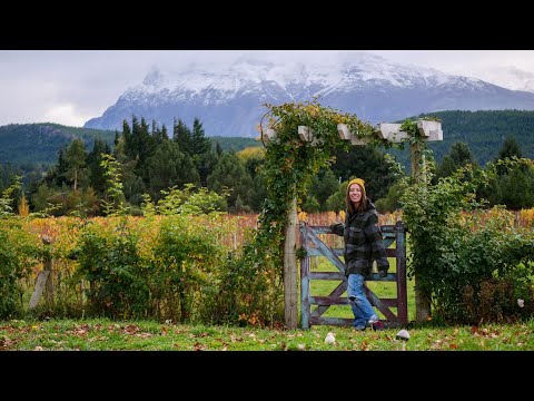 Viaje a TREVELIN 😊 | Viñedos, Dragones y Represa Futaleufú en Patagonia 🍇✨