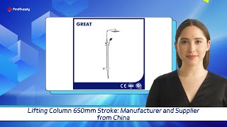 Lifting Column 650mm Stroke: Manufacturer and Supplier from China