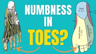 5 Causes Of Numbness In Toes & How To Treat Numbness In Toes