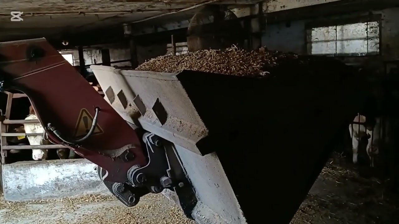 Film wyszedł szybki ale chcę go wrzucić bo niewiem czy będzie w sobotę.