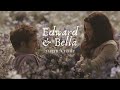 Bella & Edward || a thousand years ♥ their story