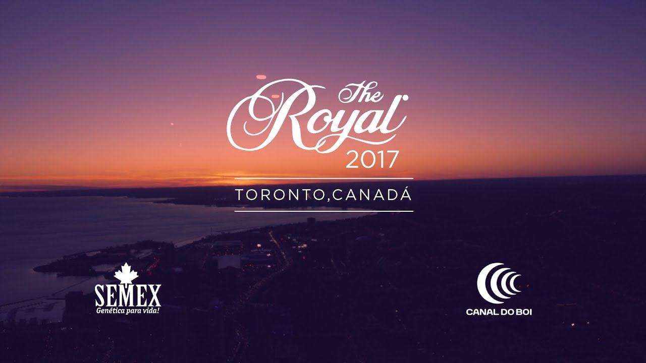Royal Winter Fair 2017 YouTube Royal Winter Fair 2017 YouTube