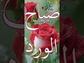 دعاء صباح يوم الاربعاء حالات واتس دينية صباح الخير دعوة صباحية دعاء صباح يوم الاربعاء حالات واتس دينية صباح الخير دعوة صباحية