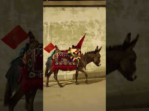 احسان حمار في العالم