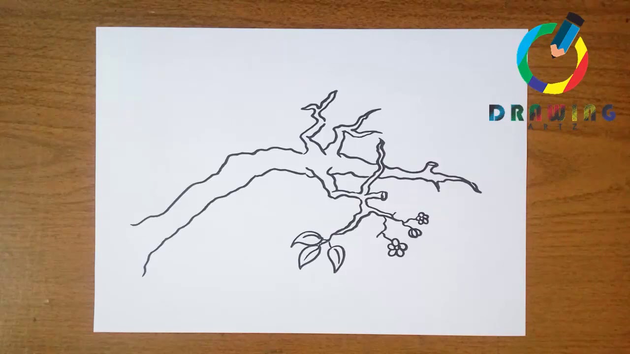 🔴 How to Draw Tree Branches step by step كيفية رسم فروع الشجرة خطوة