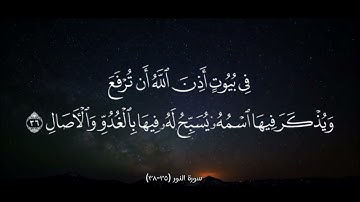 سورة النور (35-38)