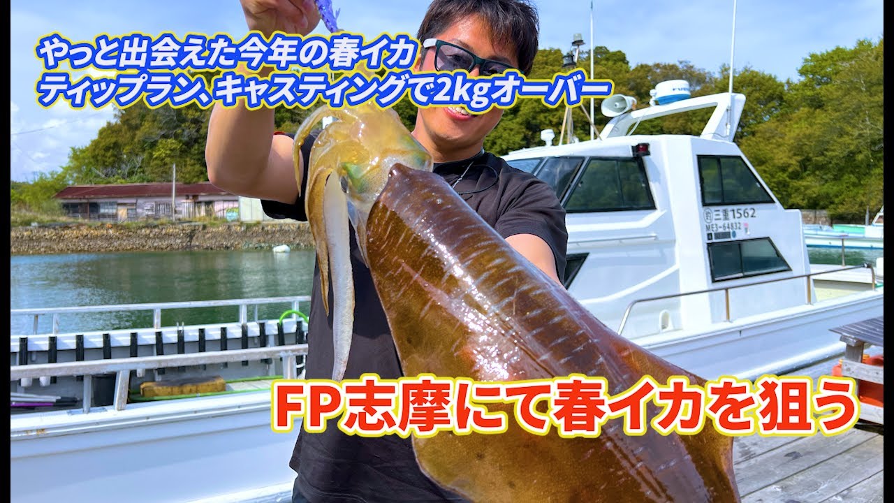 Vol.85【春イカ】FP志摩　今シーズン初の春イカにやっと出会えました！