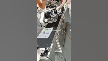 Automatic empty pouch paging feeding conveyor labeling machine label applicator