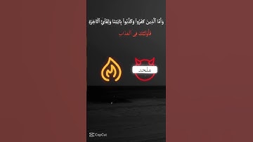 #تلاوة_خاشعة_تلاوة_هادئة_تلاوة_سورة_البقرة_تلاوة_سورة_الفاتحة 