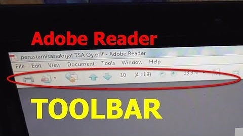 Toolbar not visible (Adobe Reader 9, PDF, Zoom, Fit, Page, Print)