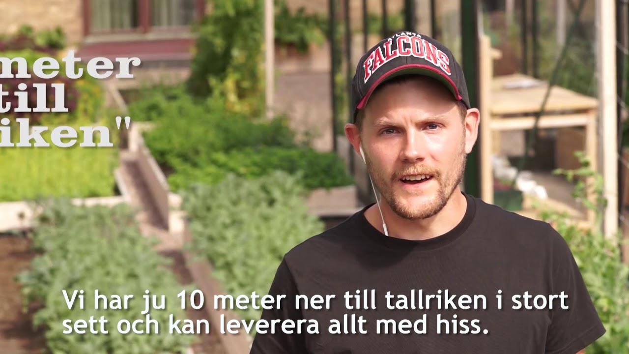 Takodling på Posthotellet i Göteborg