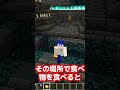 マイクラ豆知識9