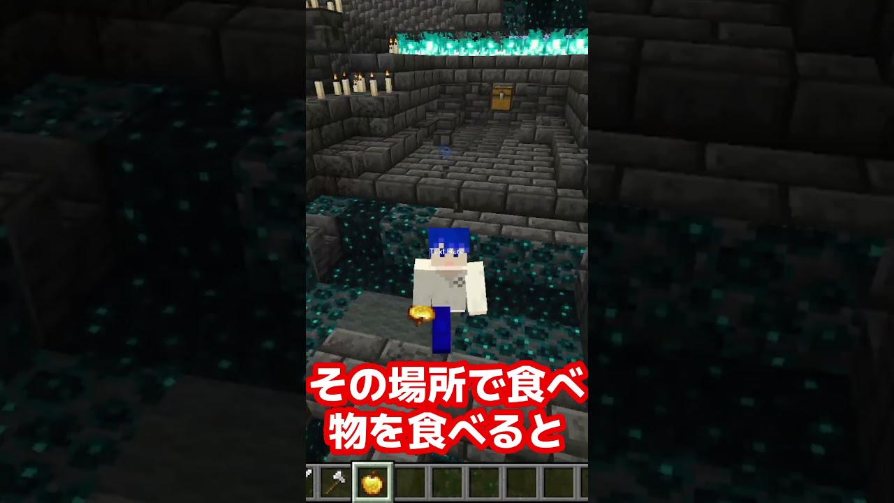 マイクラ豆知識9