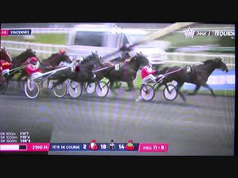 Prix Jean René Gougeon, Vincennes Le 28 Janvier 2018