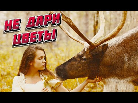 Видео: Не дари цветы девушкам