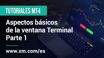 XM.COM - Tutoriales MT4 - Aspectos básicos de la ventana Terminal – Parte 1