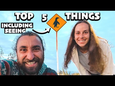 TIMARU - top 5 things to do 🐧