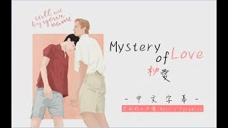 Mystery of Love《秘愛》Sufjan Stevens ❚ 以你的名字呼喚我 電影主題曲