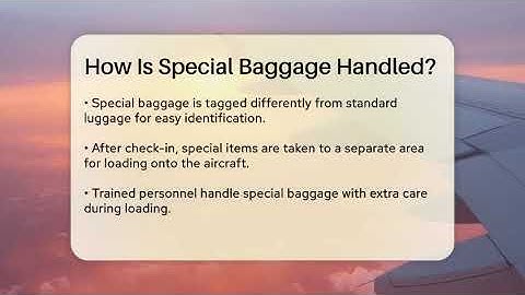 How Is Special Baggage Handled? - Air Traffic Insider