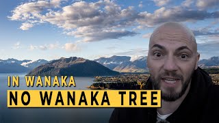 Is there anything else in Wanaka to photograph? | Lake Wanaka, New Zealand