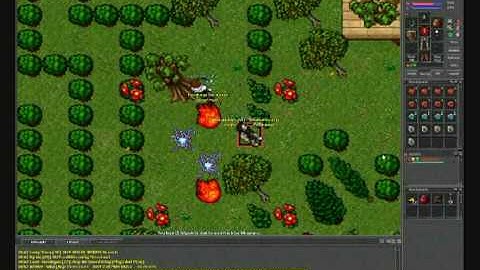 tibia - Noob duel -