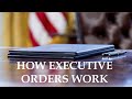 How Executive Orders Work | Just the Issues
