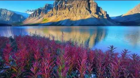 تلاوه خاشعه ومباركه من سورة البقره بصوت الشيخ محمد حسين القريطي رحمه الله إعداد حسن مصلح الأسدي