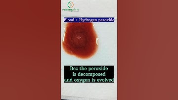 Blood 💉🩸➕H2O2😱🧑‍🔬🤷❓#2024 #research #science #youtubeshorts #shorts