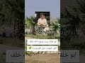 ابو خلف يريد يزوج ابنه خلف  اكسبلور  لوفبيرد  ضحك  تحشيش  تيك توك نجومي