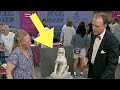 Antiques Roadshow  Appraiser Chokes Back Tears When He Sees Woman’s Antique Lion Statue